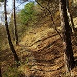 Wanderung Brixen Schabs