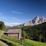 Auf dem Weg zur Pecolhütte
