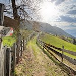 Auf dem Weg Nr. 2 zurück nach Steinegg