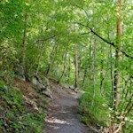 Die Karlspromenade lädt zum sanften Spazieren in Brixen ein