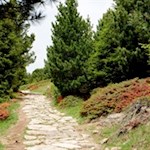 Der liebevoll angelegte Plattenpfad in Richtung Raschötz Hütte