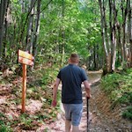 Die Wanderung zur Leuchtenburg ist gut ausgeschildert