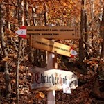 Abzweigung zum Buschenschank Ebnicherhof