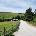 Der breite Weg kann auch mit dem Kinderwagen befahren werden