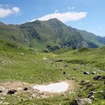 Hinter der Klammalm führt der Weg zunächst über friedvolle Weidehänge