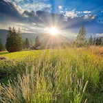 Die Sommersonne taucht die Villanderer Alm in schöne Farben