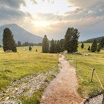 Durch malerische Almwiesen zur Gschnagenhardt Alm