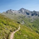 Über friedvolle Hänge auf den Pojenspitz