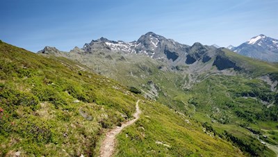Über friedvolle Hänge auf den Pojenspitz