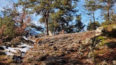 Auf dem stein- und wurzelbeschlagenen Weg Nr. 6 nach Karnol