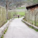 Anfang und Ende des Spaziergangs führen über einen Asphaltweg