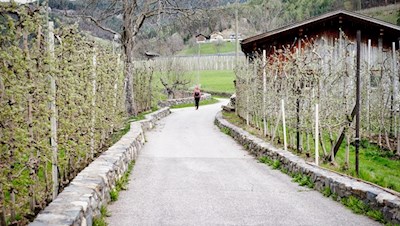 Anfang und Ende des Spaziergangs führen über einen Asphaltweg