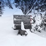 Am rechten Wegesrand zweigt der Wanderweg Nr. 7 zum Wildbad Innichen ab