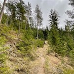 Durch den Wald zur Tschaminschwaige