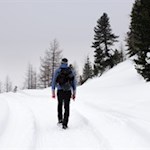 Von der Faneshütte führt der Weg Nr. 11 auf das Limojoch
