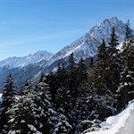 Vor herrlicher Kulisse auf den Staller Sattel