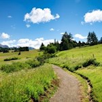 Von Compatsch folgen wir zunächst dem Weg Nr. 30 