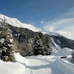 Auf flotten Kufen zurück nach Maiern 