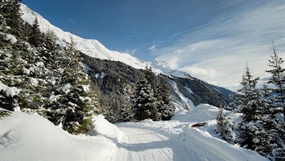 Auf flotten Kufen zurück nach Maiern 