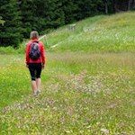 Leichte Wanderung am Würzjoch