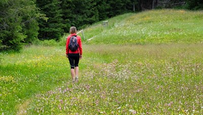 Leichte Wanderung am Würzjoch