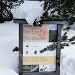 Auf dem Rückweg informieren Infotafeln über die hier wachsenden Bäume