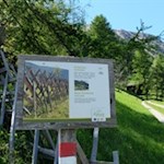 Scherenzaun hinter dem Pichlerhof