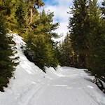 Durch den Winterwald zur Taistner Alm