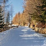 Sanft steigt der Weg zur Prantneralm an