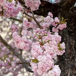 „Wer die Kostbarkeit des Augenblicks entdeckt, findet das Glück des Alltags.“ (Adalbert Stifter)