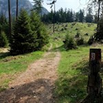 Von der Tschafonhütte führt der Weg Nr. 9 zunächst nahezu eben in Richtung Hammerwand