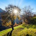 Il sole autunnale fa brillare la natura