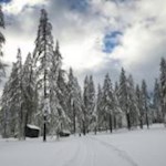 Durch den winterlichen Lärchenwald zur Talschlusshütte