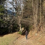 Zwischen Albions und Lusenegg