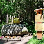 Suggestive Kunstwerke versinnbildlichen den Sonnengesang des Franz von Assisi