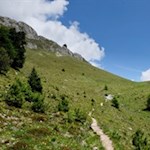 Anstieg durch blumenfrohe Bergwiesen in Richtung Tullen