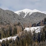 Inmitten einer Waldlichtung thront die Hofstatt Alm