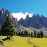 Eine Symphonie aus saftigen Almwiesen, schattenspendenden Bäumen und spitz zulaufenden Felsen