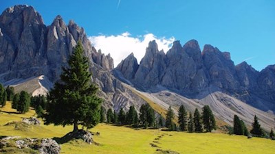 Eine-Symphonie-aus-saftigen-Almwiesen-schattenspendenden-Bäumen-und-spitz-zulaufenden-Felsen