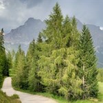 Auf dem breiten Wanderweg Nr. 22 zurück nach St. Kassian