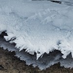 "Natur ist das große Bilderbuch, das der liebe Gott uns draußen aufgeschlagen hat" (J. von Eichendorff) 