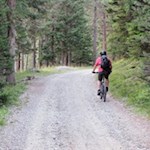 Auch bei Mountainbikern ist die Welschellener Alm beliebt