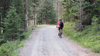 Auch bei Mountainbikern ist die Welschellener Alm beliebt