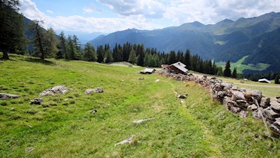 Hinter der Stumpfalm zweigt der Weg auf die aussichtsreiche Riepenspitze ab