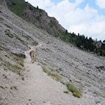 Auf dem Weg Nr. 526 zur Langkofelhütte