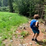 Abstieg durch den Wald