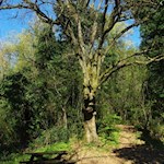 Sulla strada per la Rocca