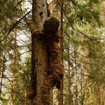 Zahlreiche LandArt-Motive schmücken den Weg Nr. 5 zwischen Issing und Pfalzen