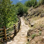 Die zahlreichen Sonnenstunden prägen die Vegetation am Naturnser Sonnenberg
