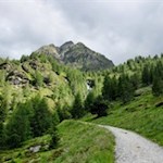 Im zunächst gemütlichen Anstieg in Richtung Tiefrastenhütte